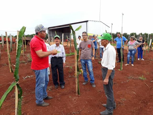 =Produtores participam do Dia Campo da Villa Puree