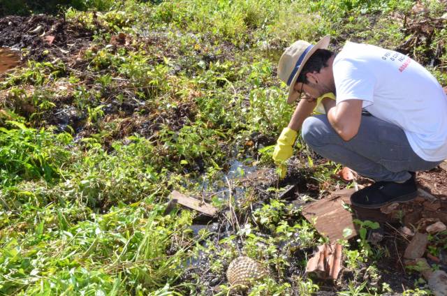 Arrastão educativo orienta e elimina criadouros da Dengue