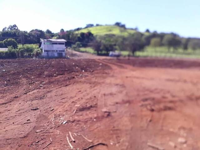 ASSAÍ: LIMPEZA DO MATADOURO E ORIENTAÇÕES DE DESCARTE DOS MATERIAIS.