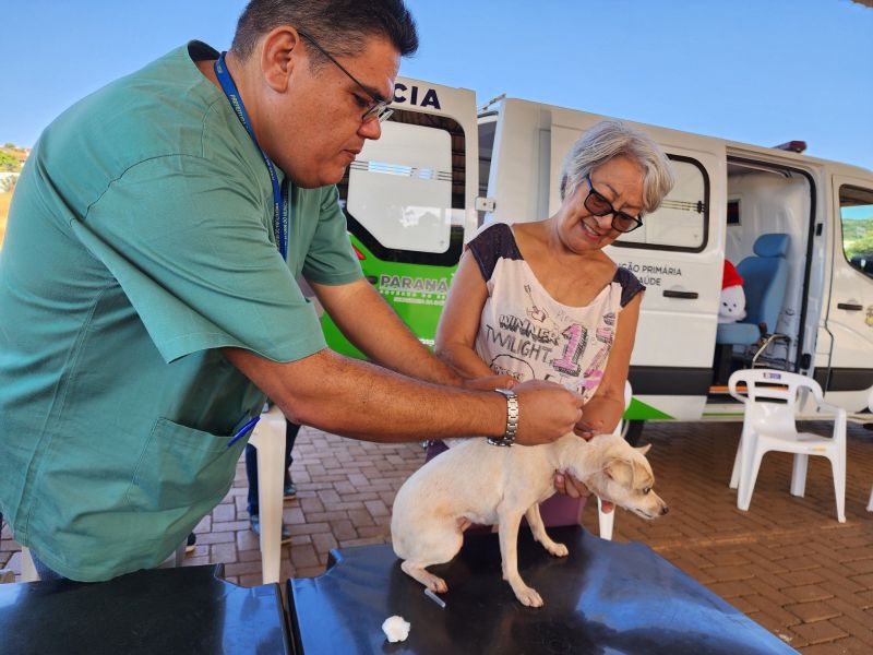 CÃES E GATOS RECEBEM VACINA ANTIRRÁBICA EM ASSAÍ